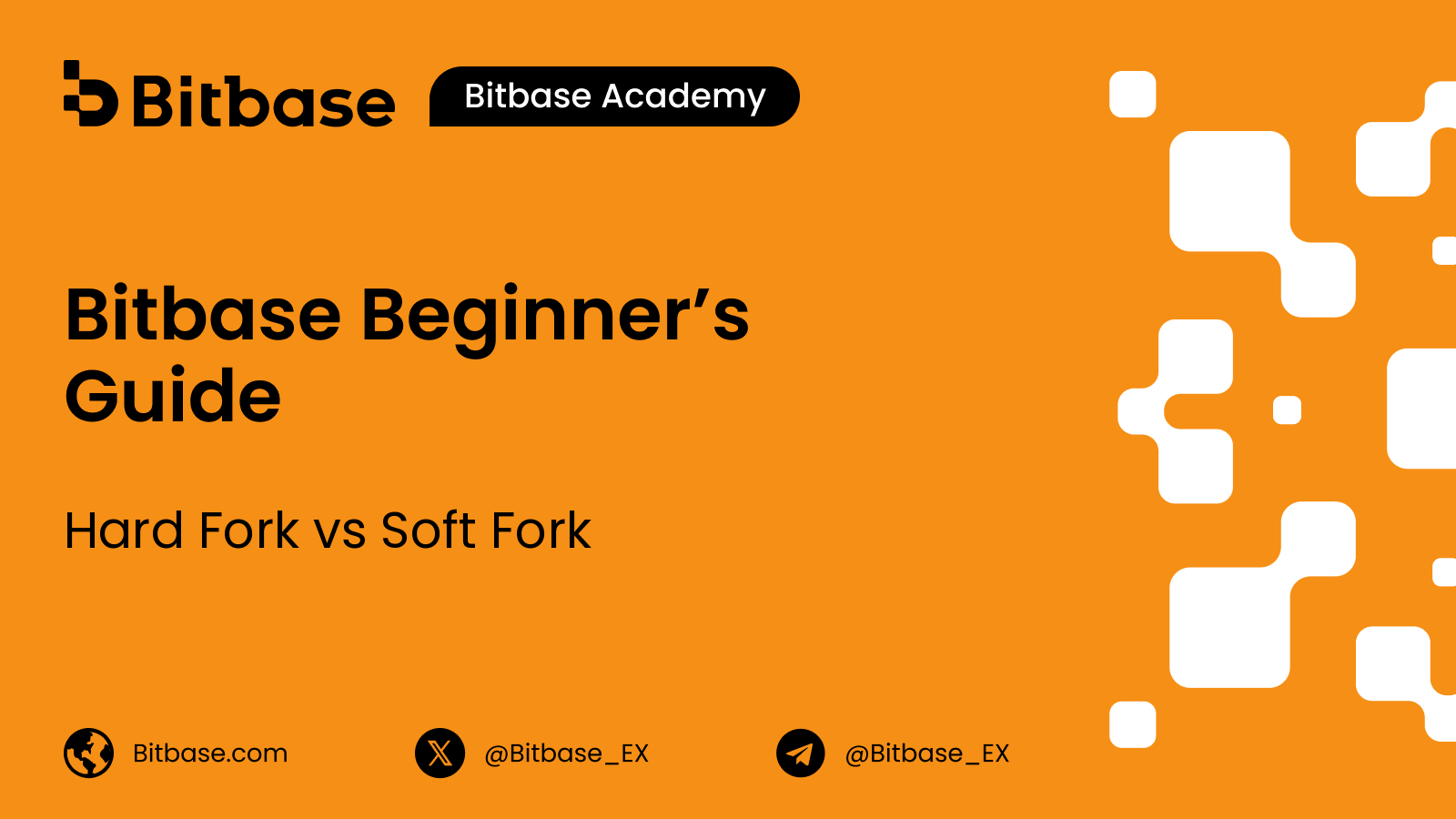 Hard Fork vs Soft Fork: What's the Difference?