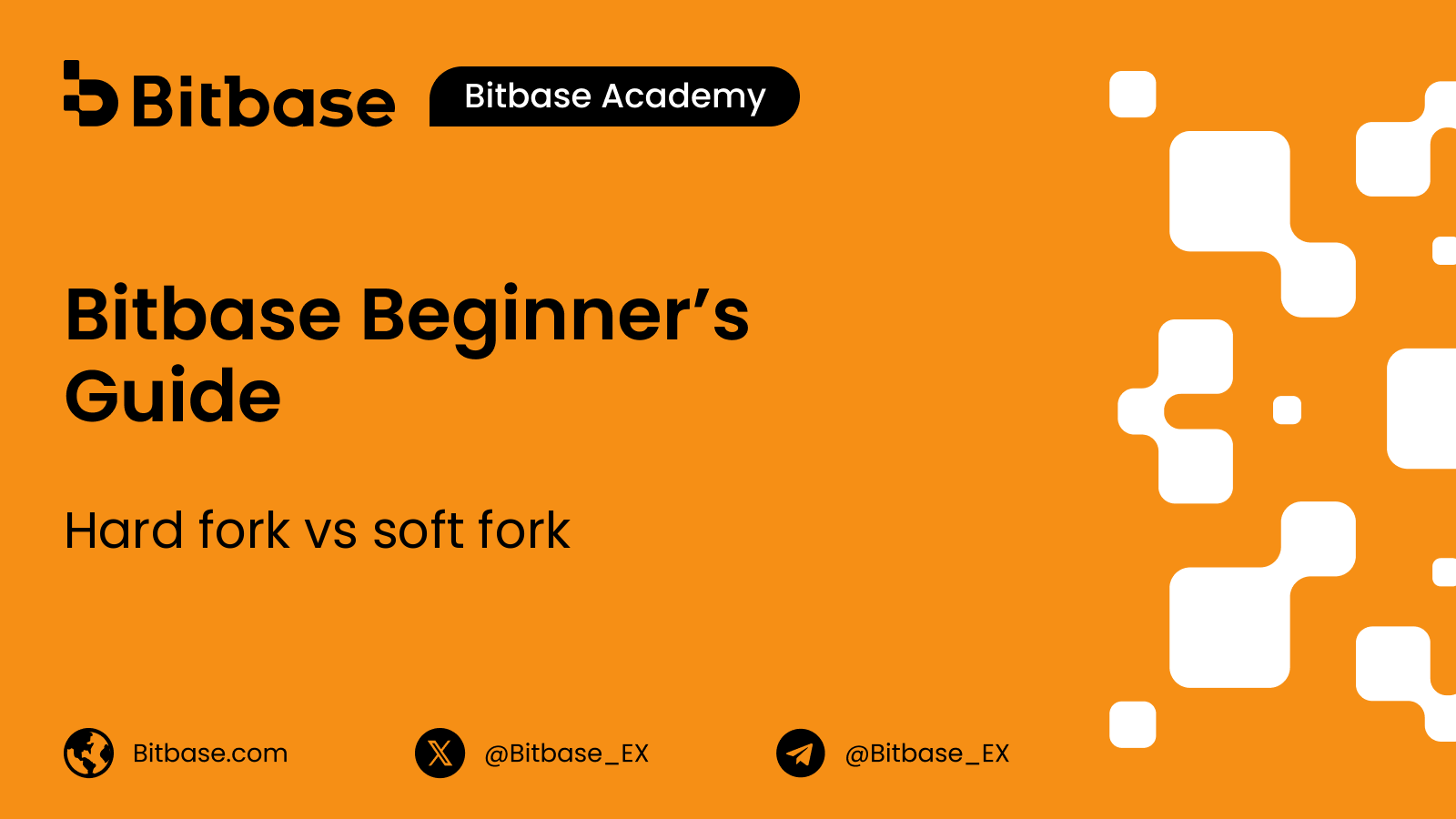 Hard fork vs soft fork: jaka różnica