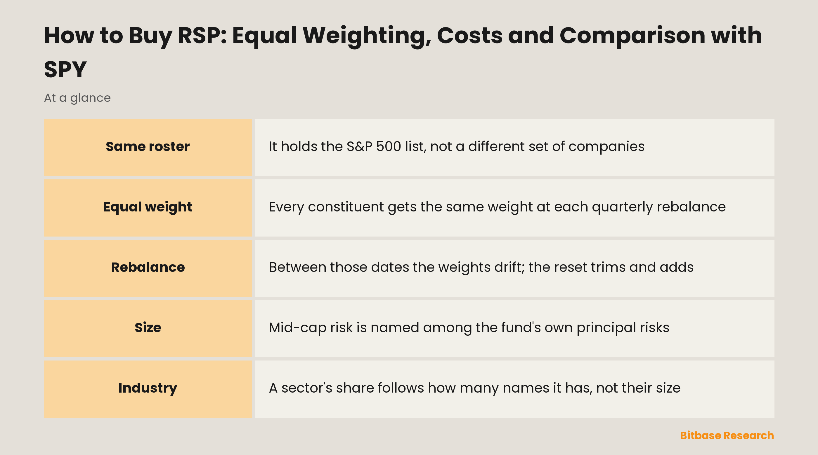 How to Buy RSP: Equal Weighting, Costs and Comparison with SPY: key points at a glance
