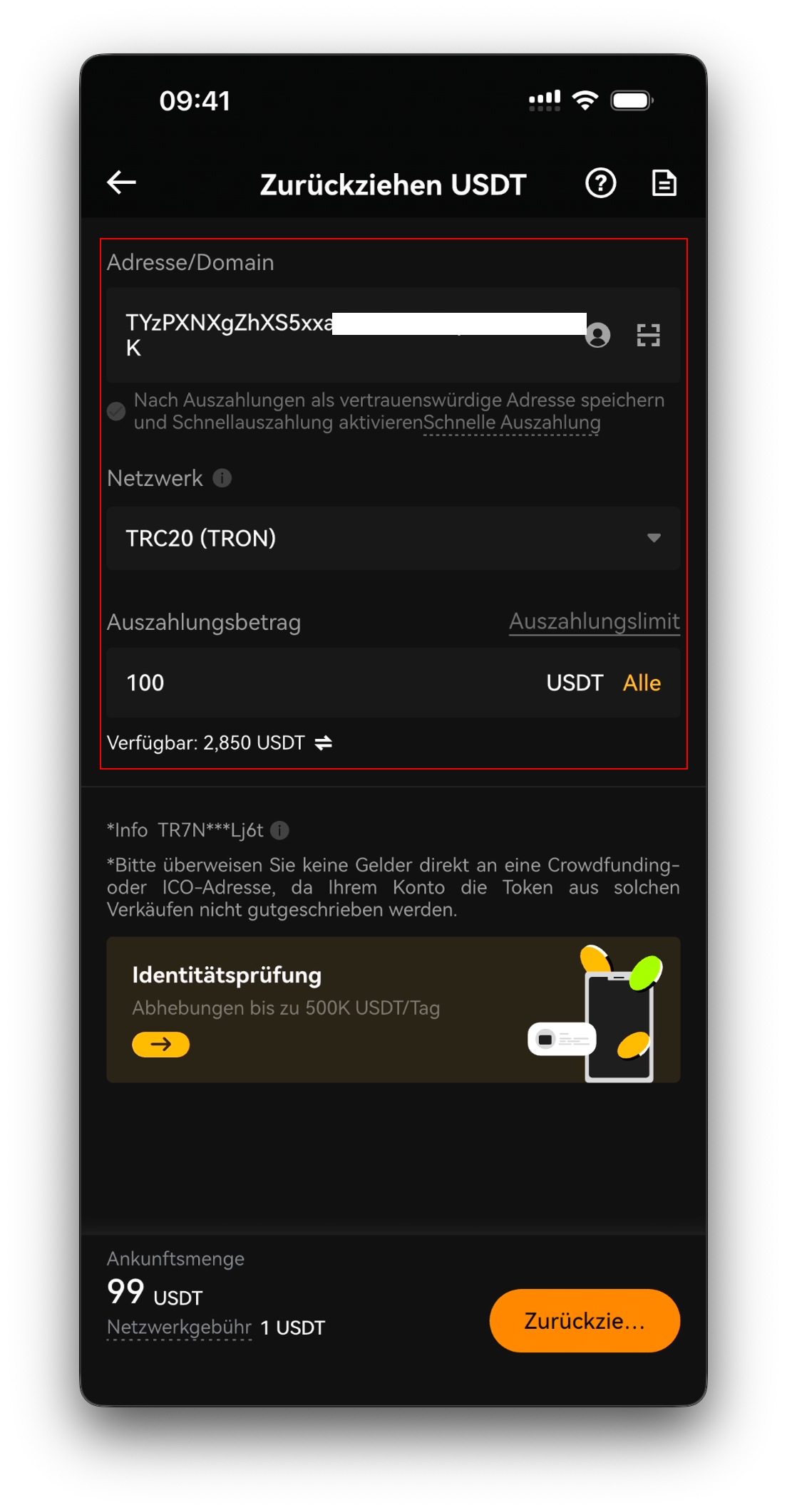 Auszahlungsbildschirm — Adresse/Domain eingegeben und Netzwerk gewählt