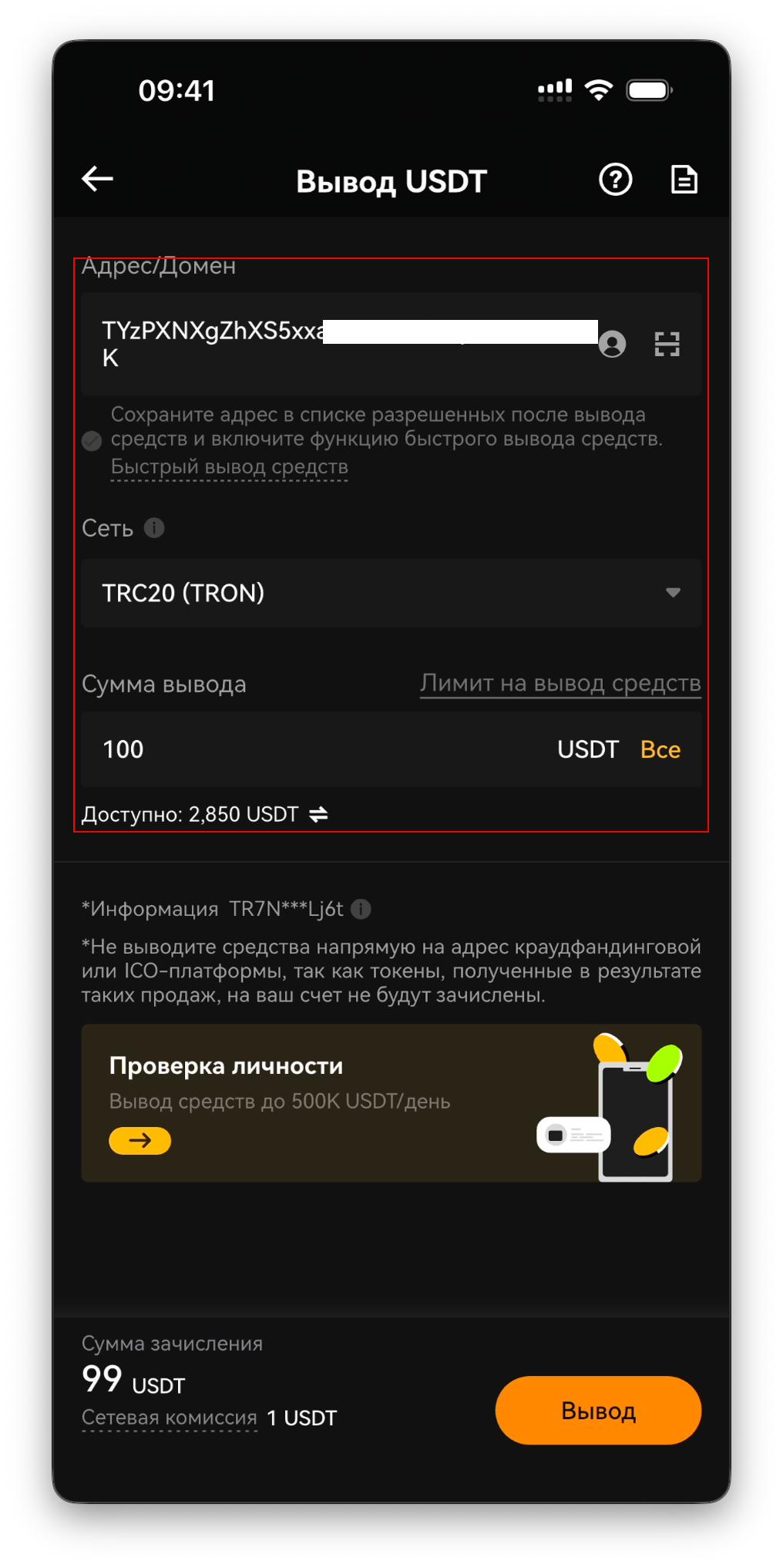 Экран вывода — введён адрес/домен и выбрана сеть