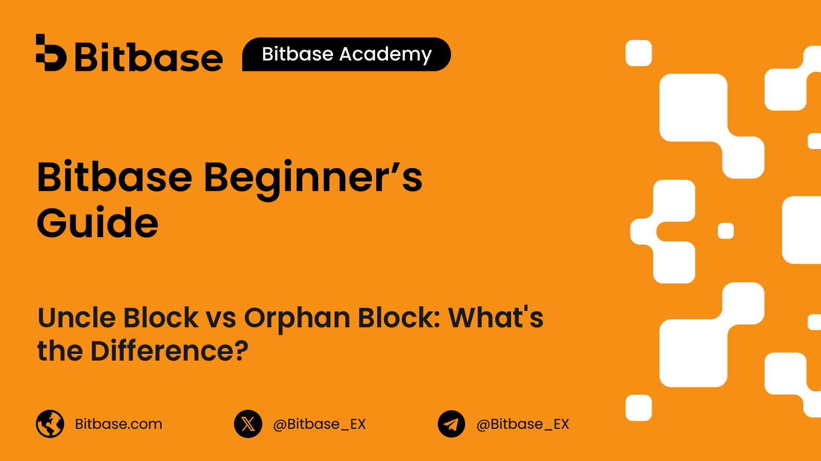 Uncle Block vs Orphan Block: What's the Difference?