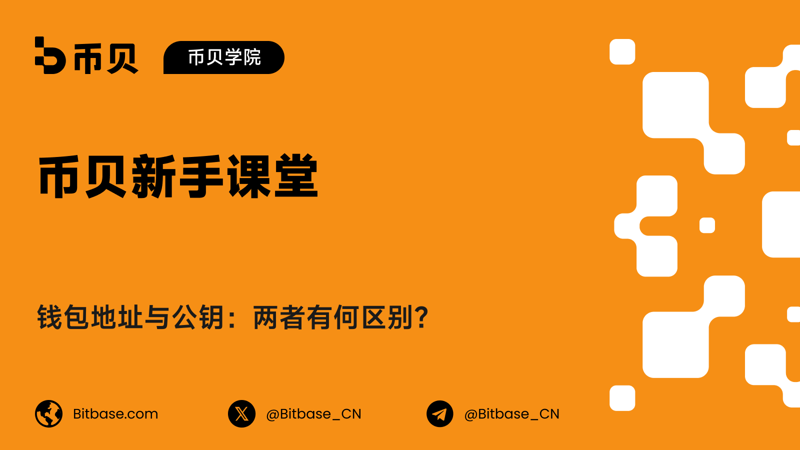 钱包地址与公钥:两者有何区别?