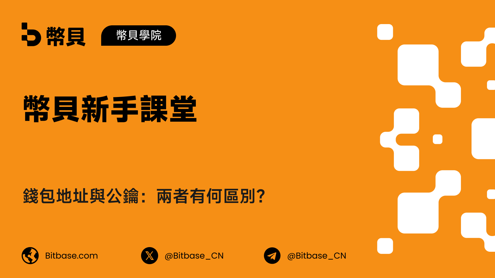 錢包地址與公鑰:兩者有何區別?