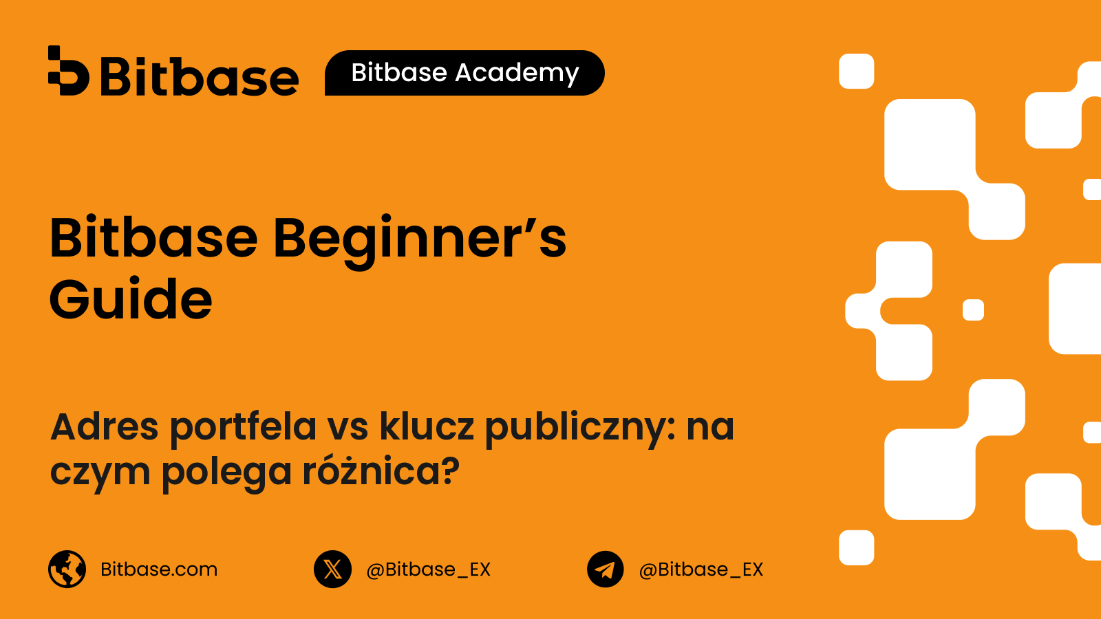 Adres portfela vs klucz publiczny: na czym polega różnica?