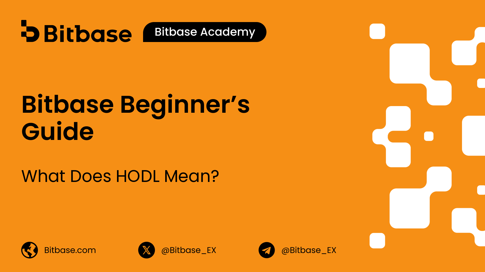 What Does HODL Mean?