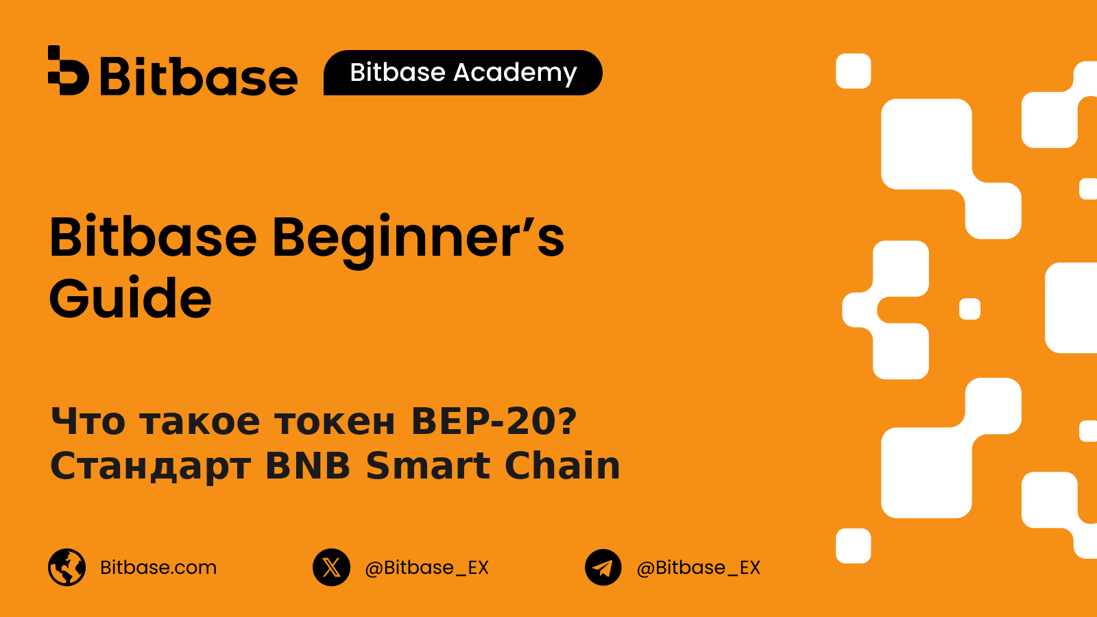 Что такое токен BEP-20? Стандарт BNB Smart Chain