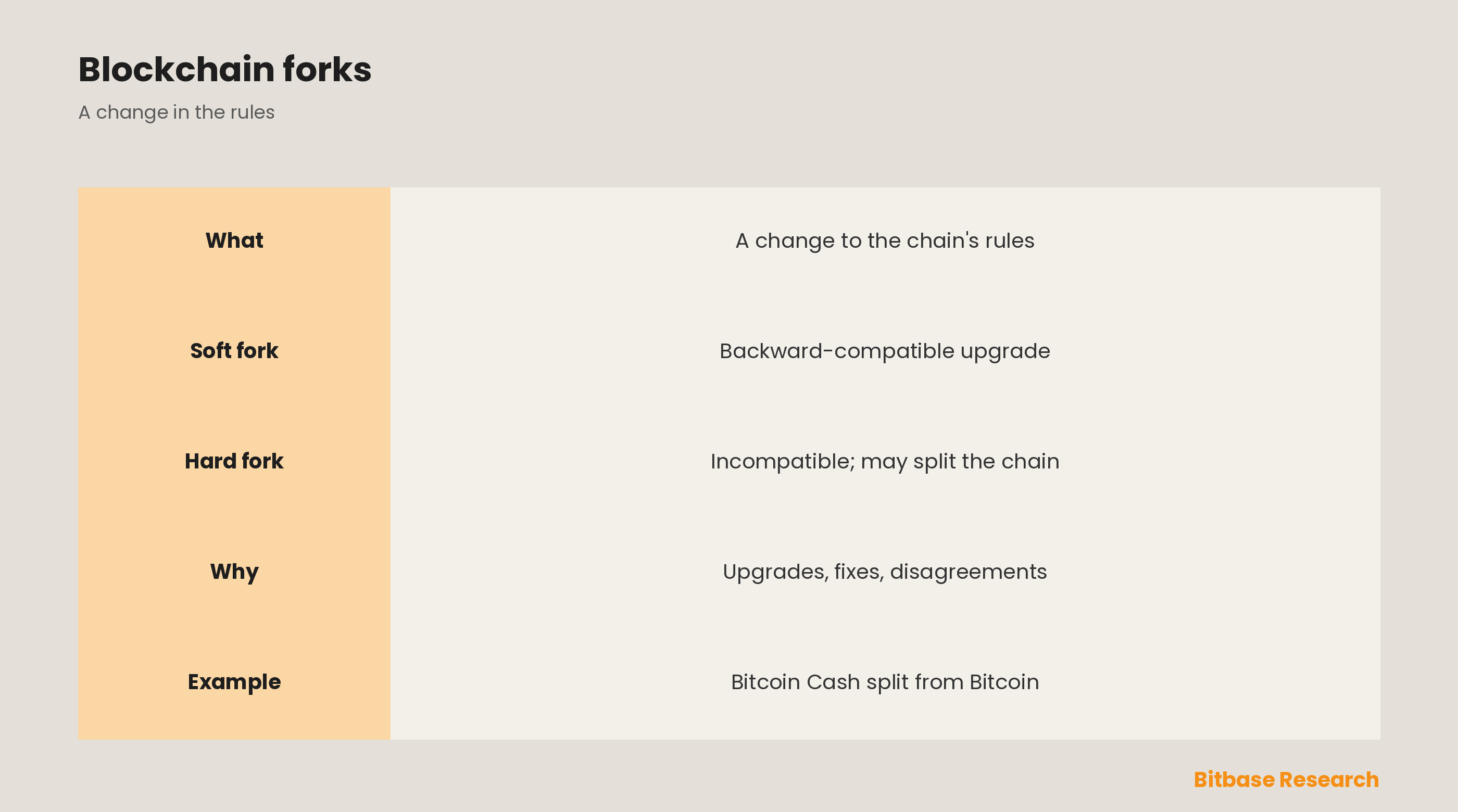 What Is a Blockchain Fork