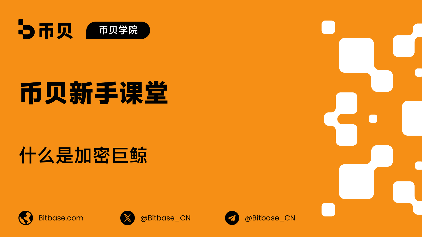 什么是加密巨鲸(Crypto Whale)
