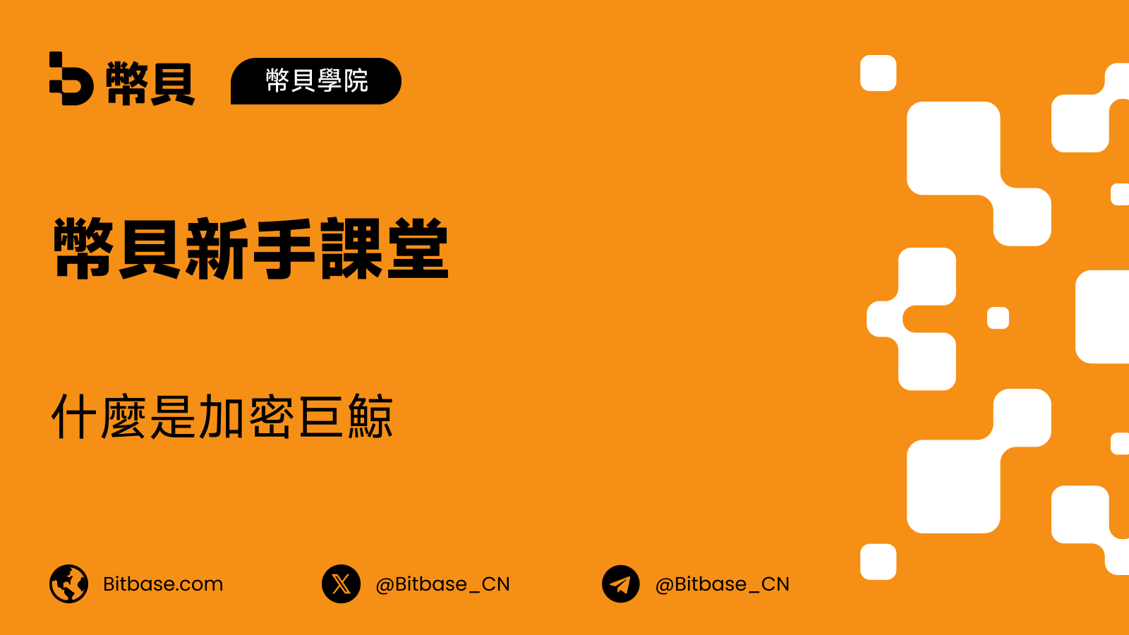 什麼是加密巨鯨(Crypto Whale)