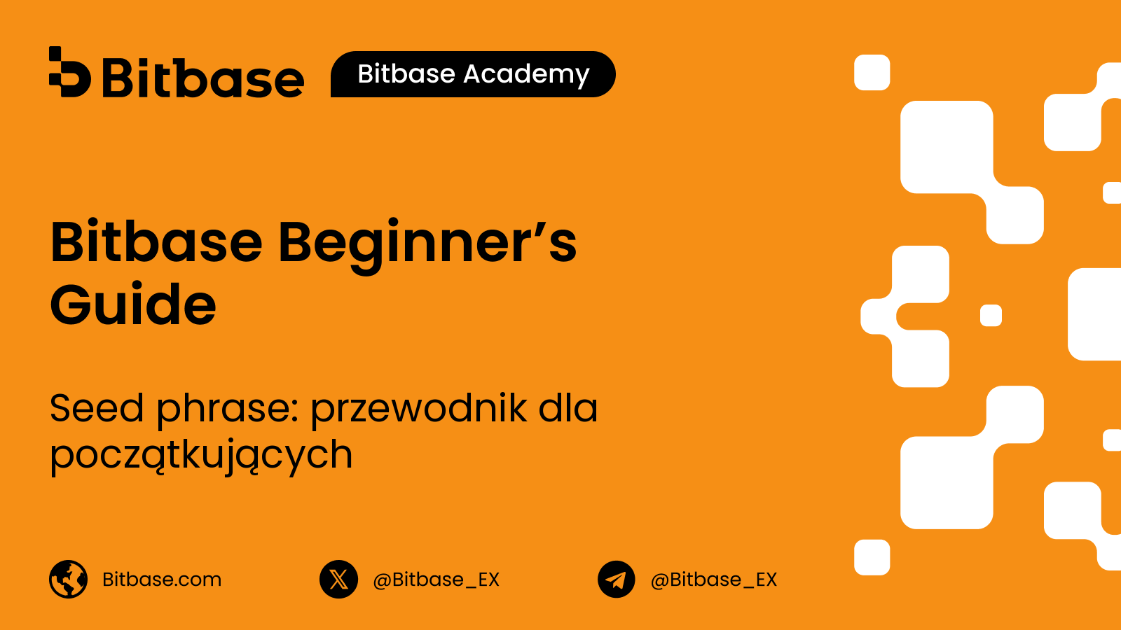 Czym jest seed phrase: główny klucz twojego portfela