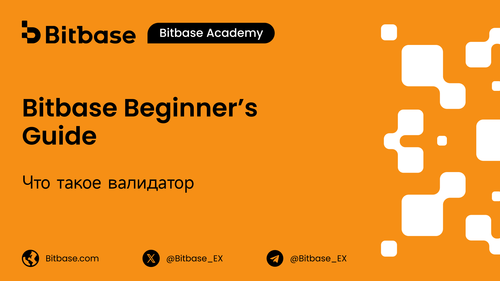 Что такое валидатор (Validator)