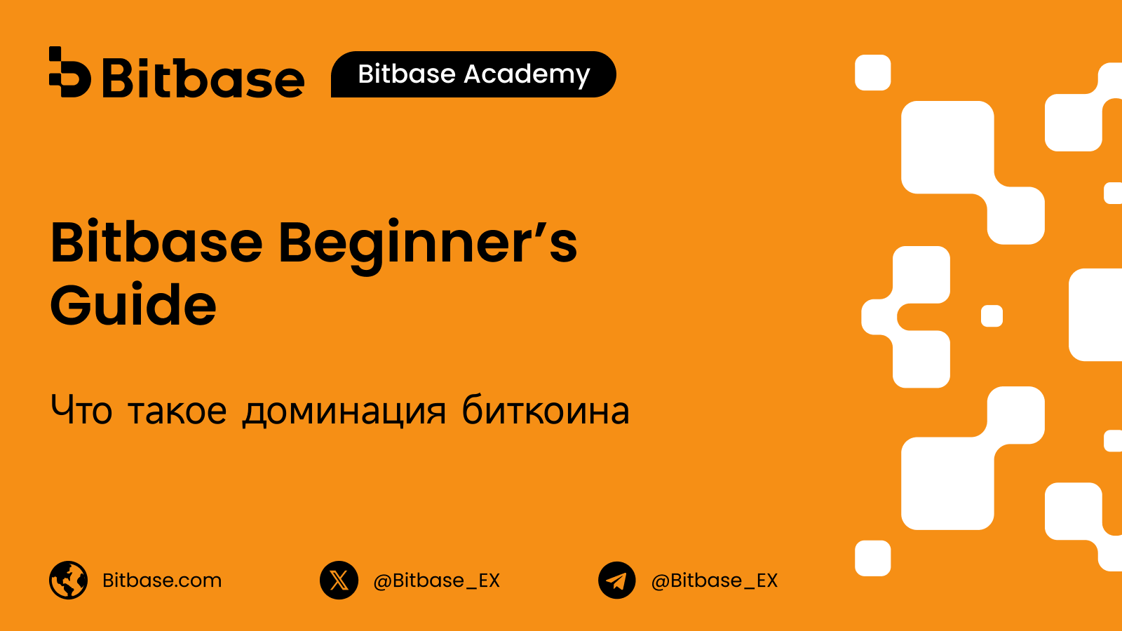 Что такое доминация биткоина (Bitcoin Dominance)