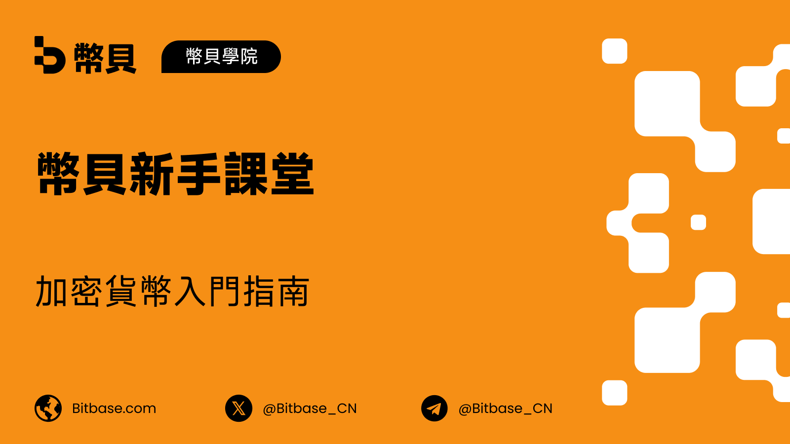 加密貨幣是什麼:數位貨幣入門指南