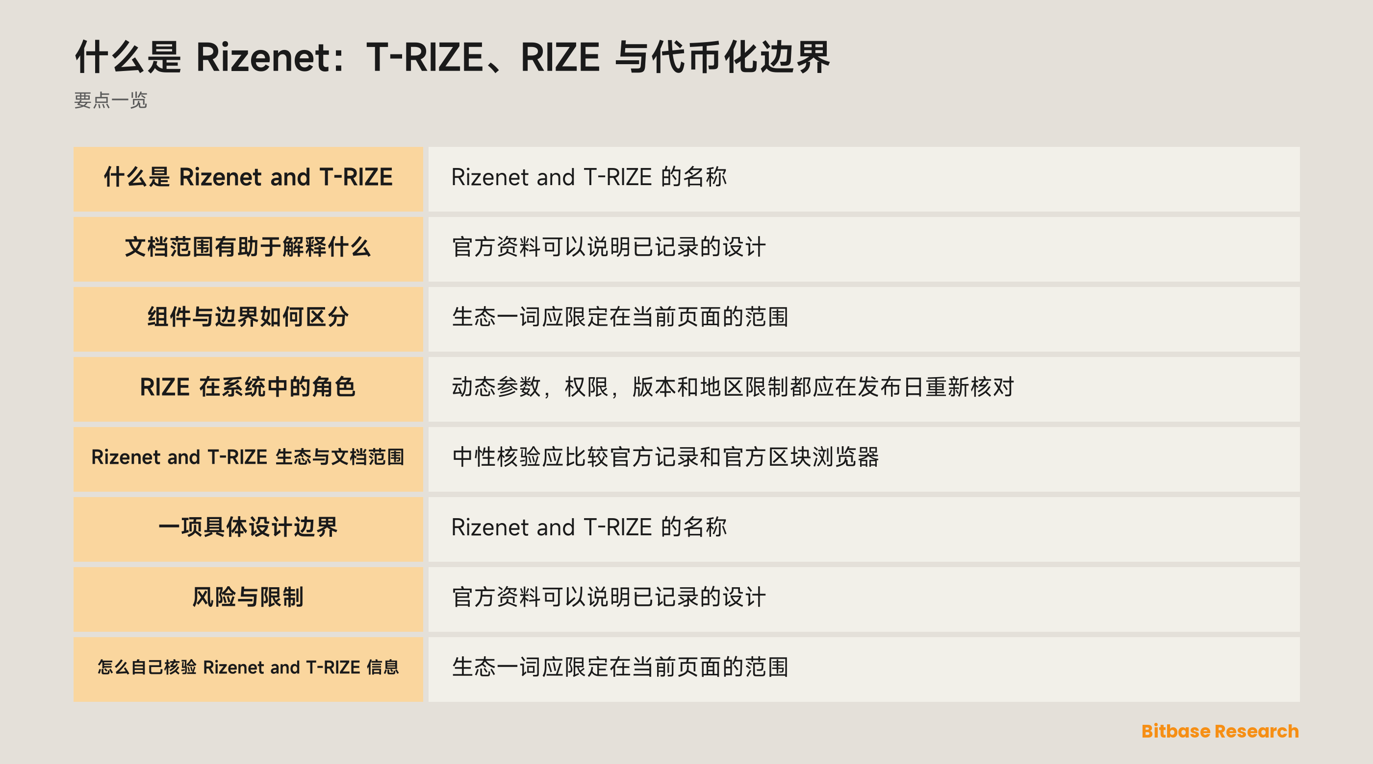 什么是 Rizenet：T-RIZE、RIZE 与代币化边界 documentation overview