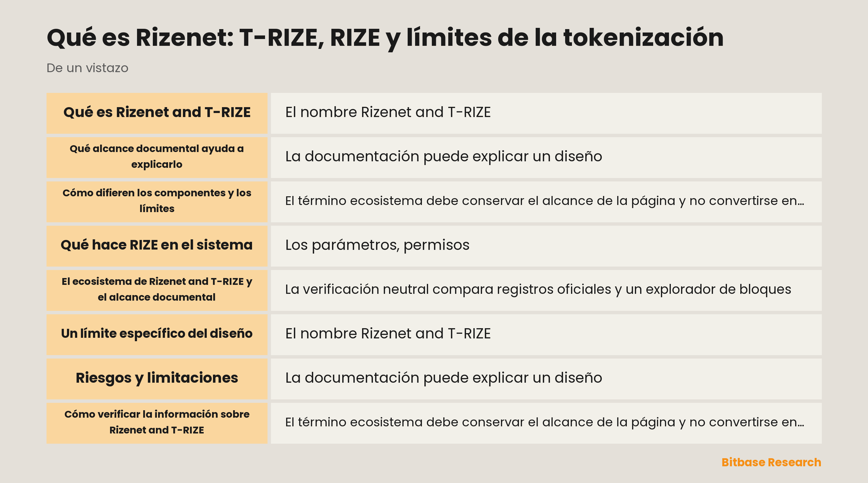 Qué es Rizenet: T-RIZE, RIZE y límites de la tokenización documentation overview