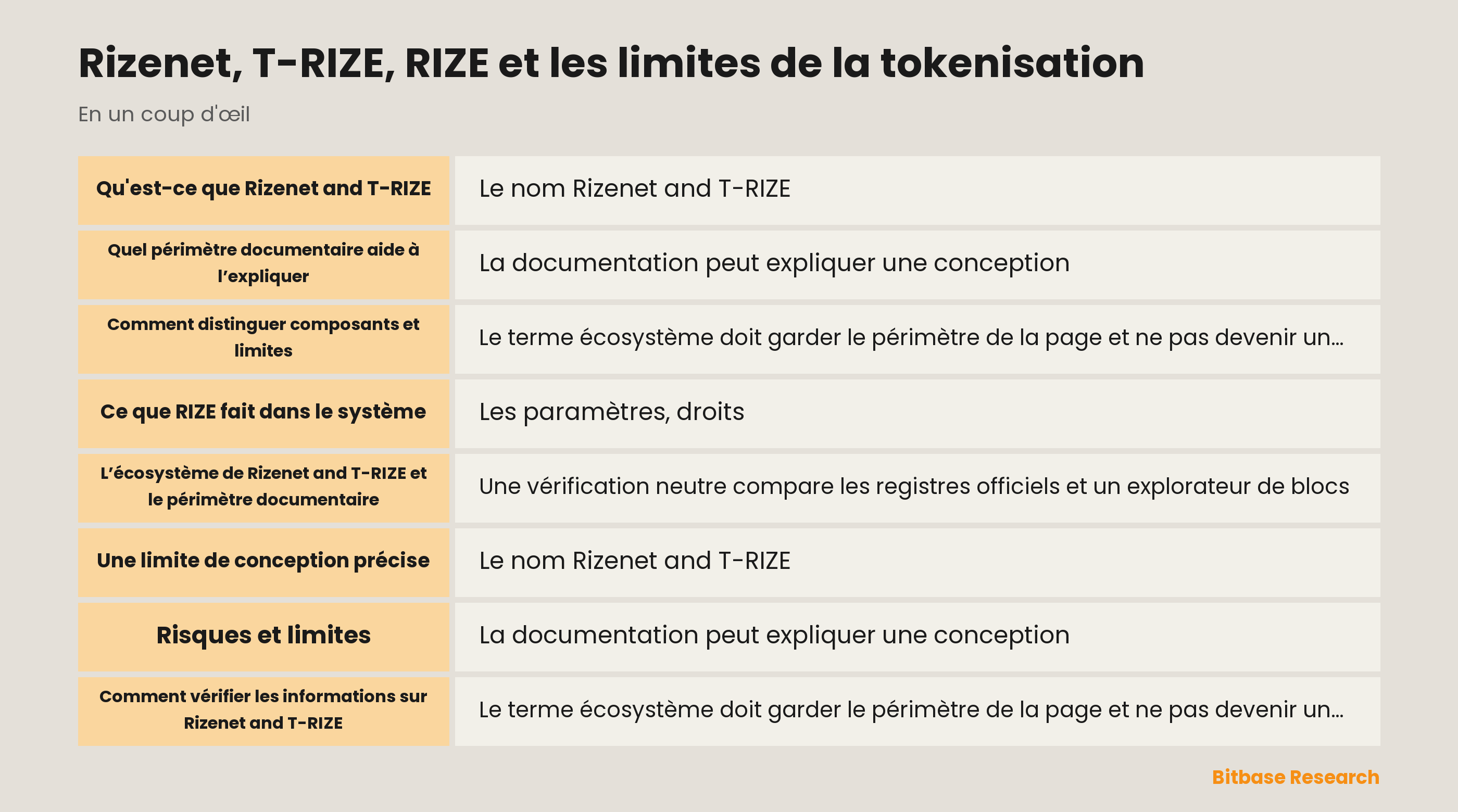 Rizenet, T-RIZE, RIZE et les limites de la tokenisation documentation overview