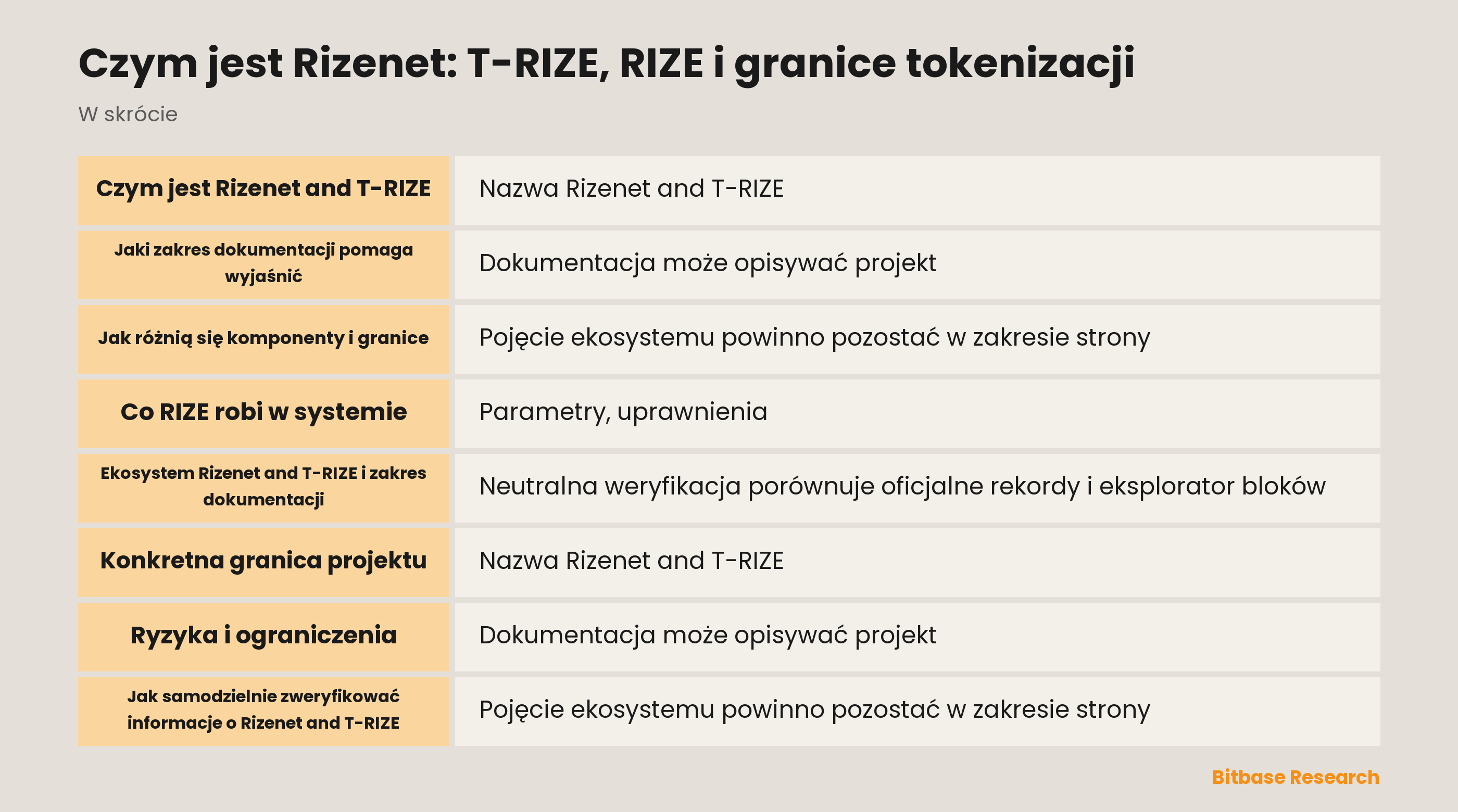 Czym jest Rizenet: T-RIZE, RIZE i granice tokenizacji documentation overview