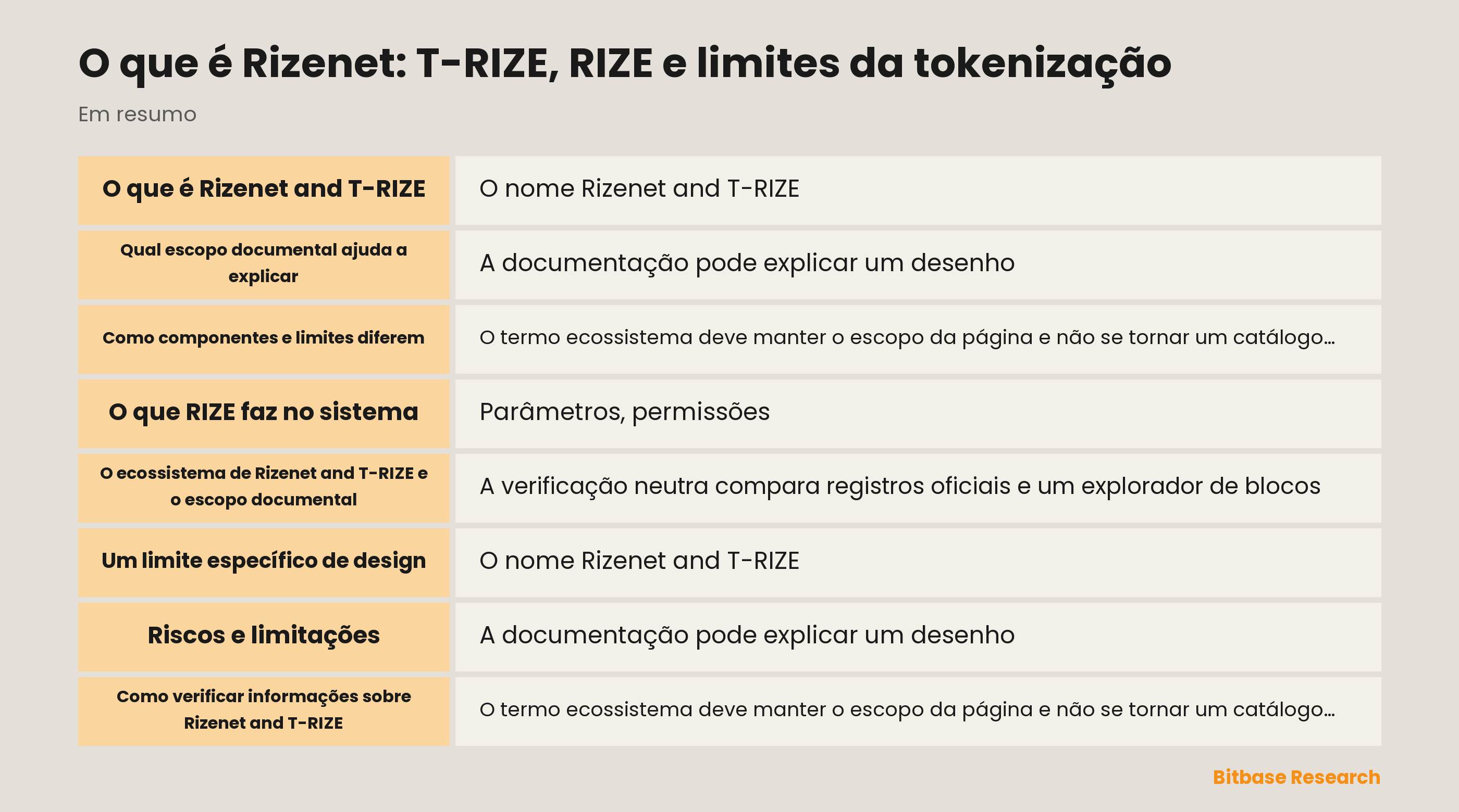 O que é Rizenet: T-RIZE, RIZE e limites da tokenização documentation overview