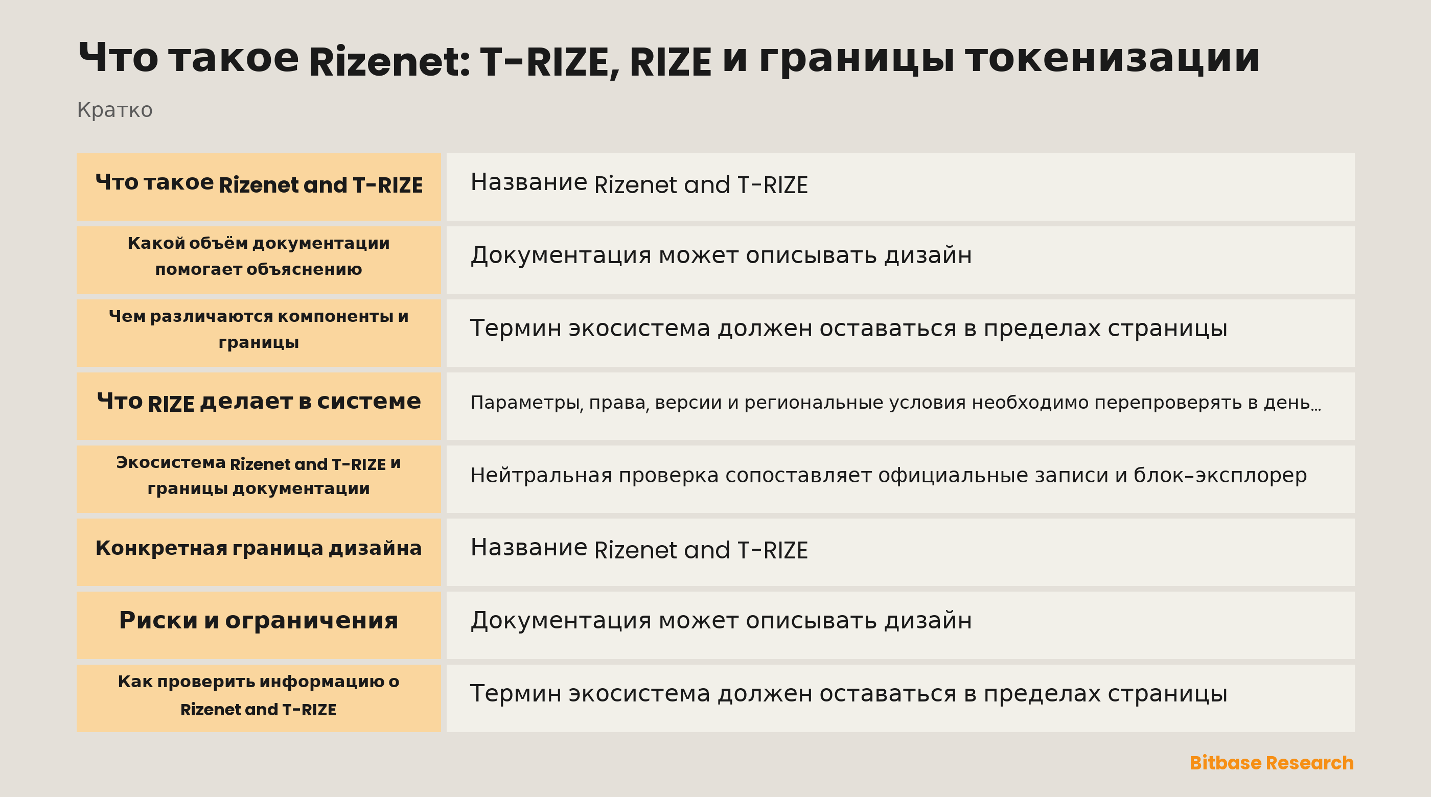 Что такое Rizenet: T-RIZE, RIZE и границы токенизации documentation overview
