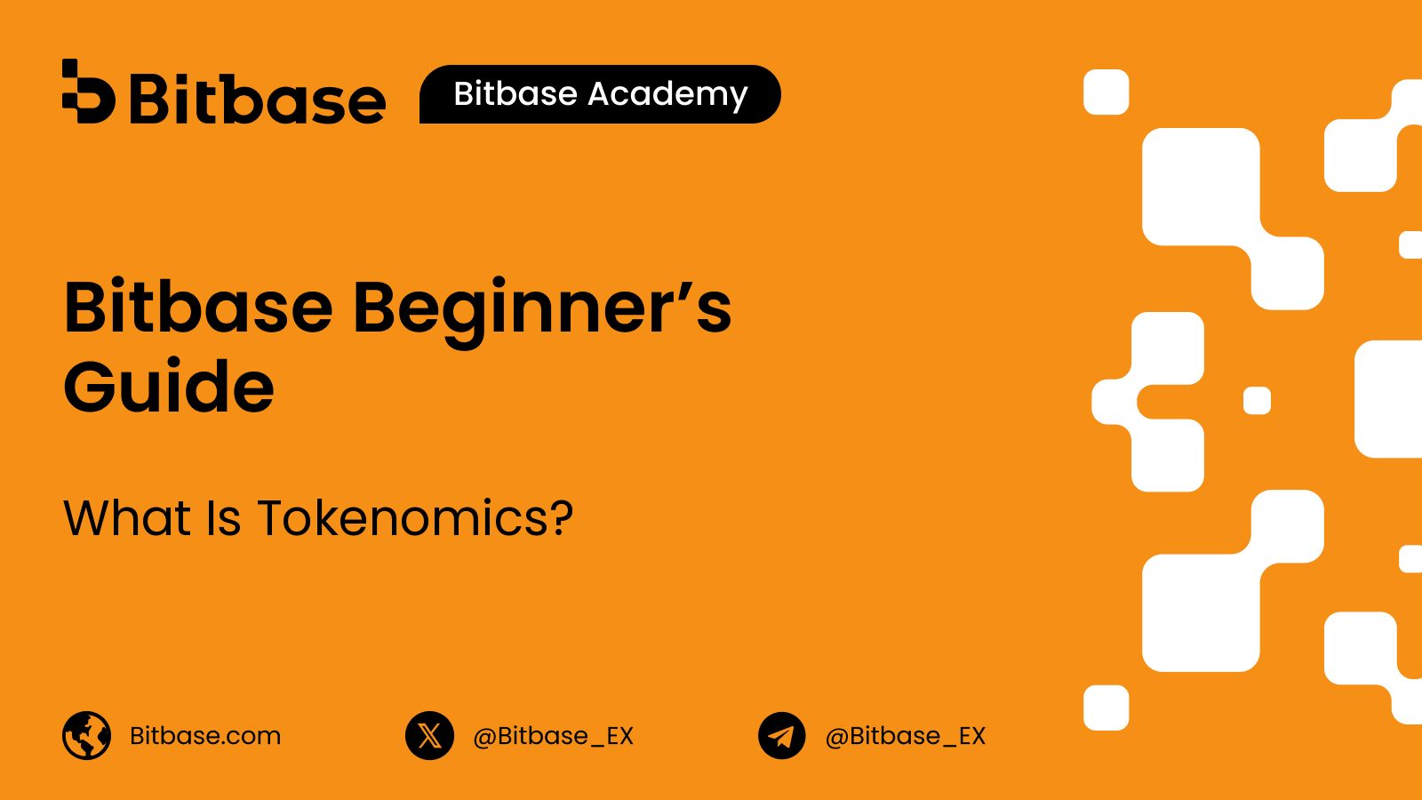 What Is Tokenomics?