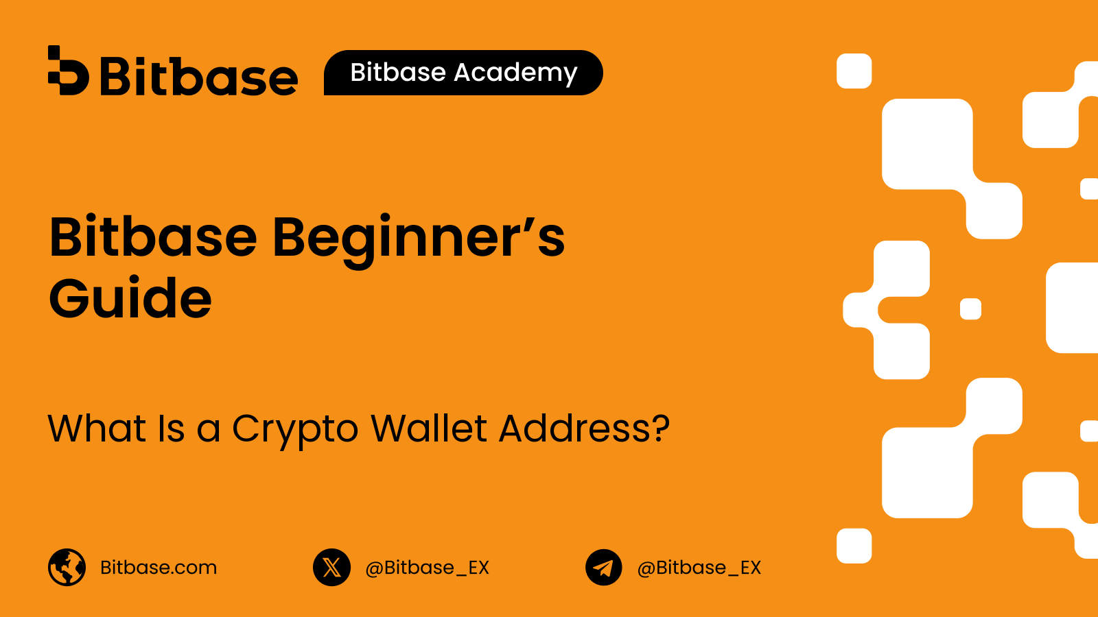 What Is a Crypto Wallet Address?