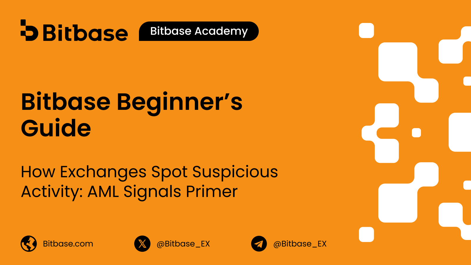 Bitbase Beginner’s Guide | Как биржи выявляют подозрительную активность: введение в сигналы AML