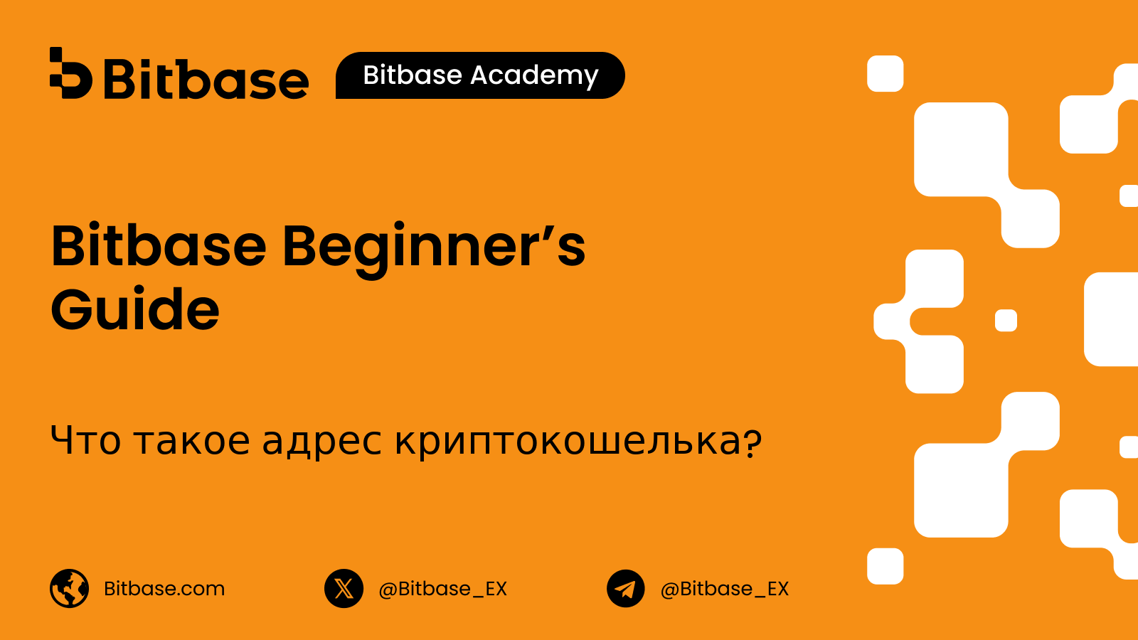 Что такое адрес криптокошелька?