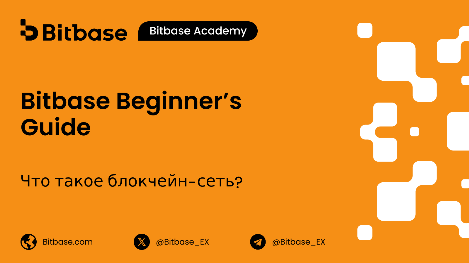 Что такое блокчейн-сеть?