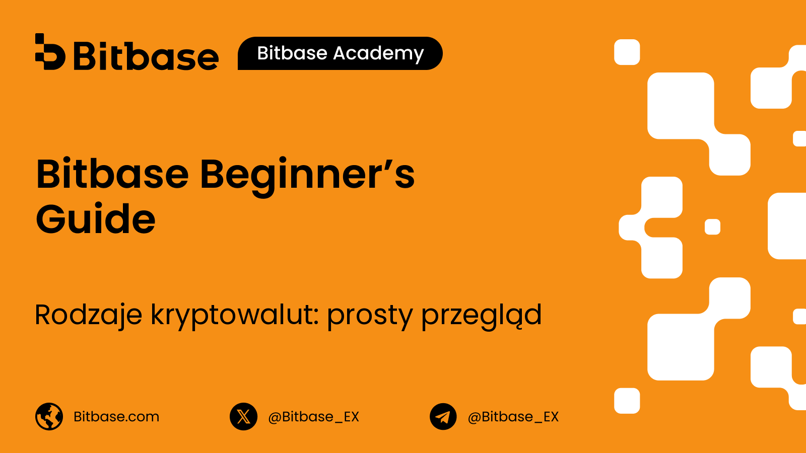 Rodzaje kryptowalut: prosty przegląd
